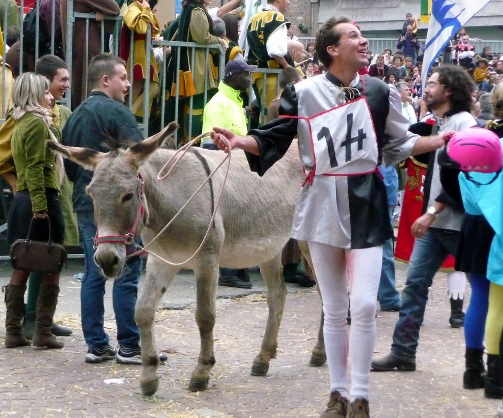 Alba_IL_Palio_degli_Asini