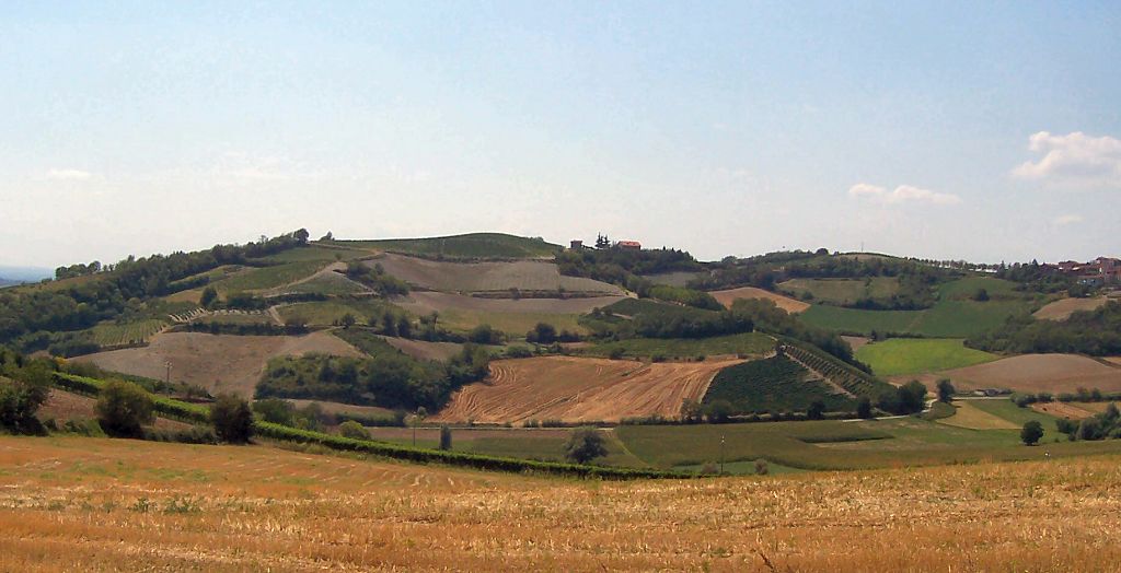 1. Monferrato panorama