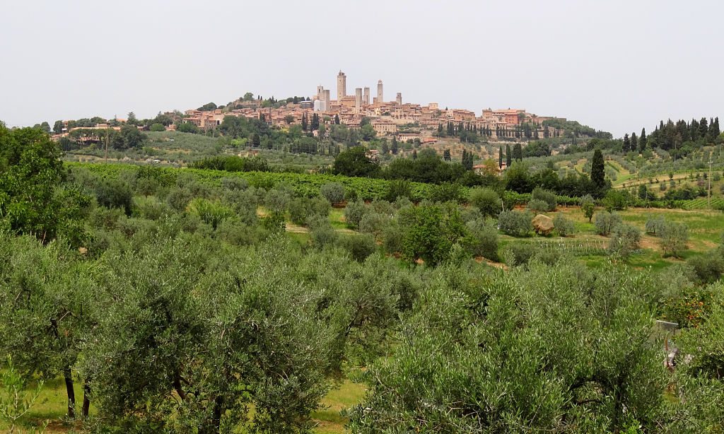 1. San Gimignano panorama