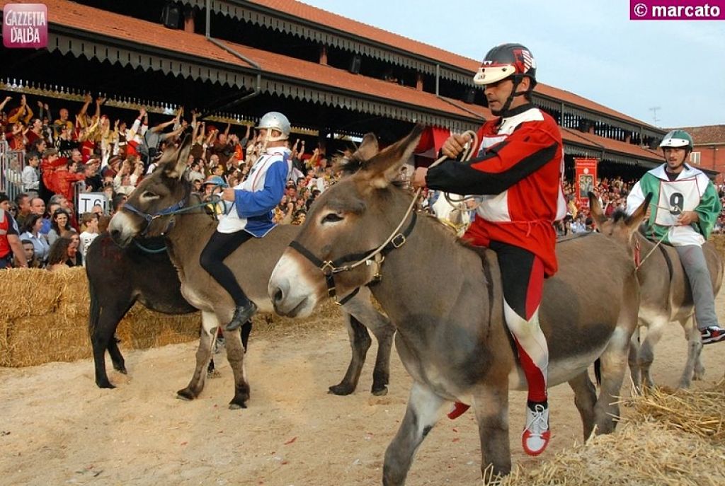 alba-palio-asini 